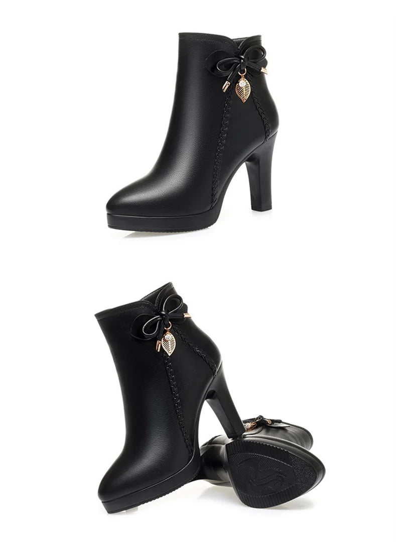 Bota
