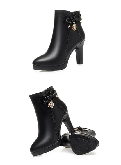 Bota