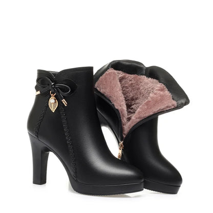 Bota