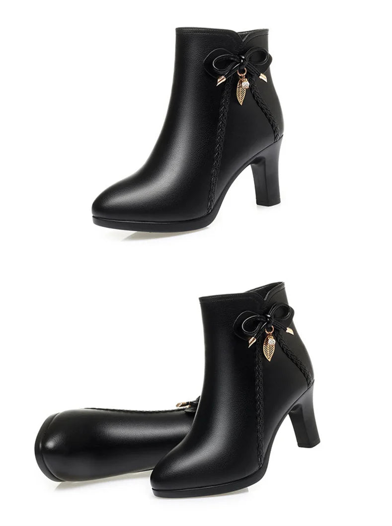 Bota