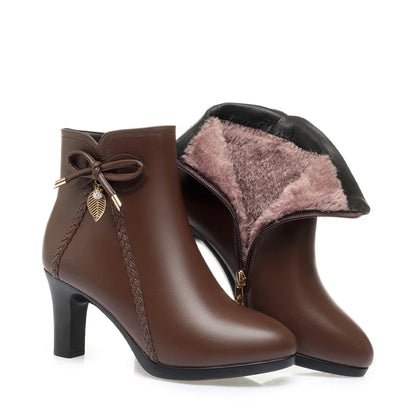 Bota